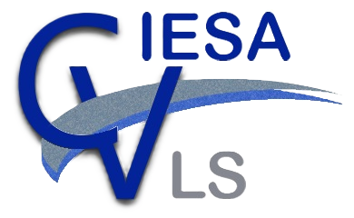 Logo CIESA VLS